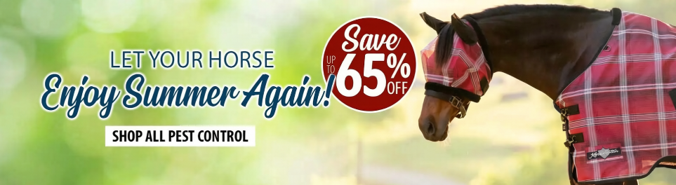 Ride with Premium Quality Tack